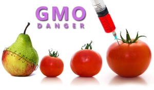 GMO-3